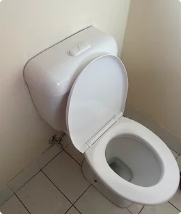 After: new toilet installed in a Logan bathroom